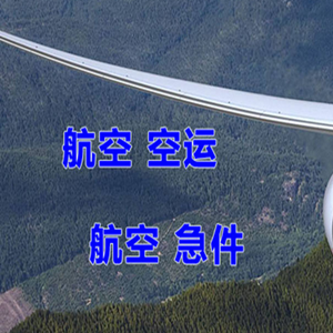 昭苏天马航空托运快递-选东方航空和上海航空